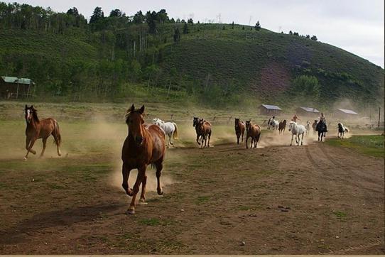 Hotel Parade Rest Ranch West Yellowstone Exterior foto